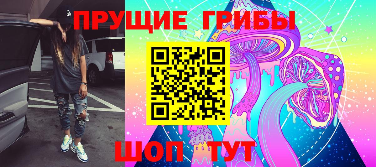 Нефтекамск  Галлюциногенные грибы Psilocybine cubensis  Вход с VPN 