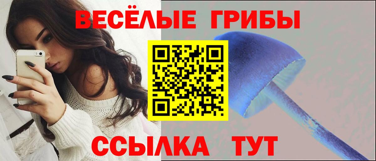 Галлюциногенные грибы мицелий Нефтекамск